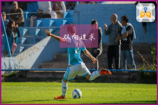 双向追求